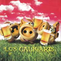Quereme asi Chanchos Amigos de Los Caligaris