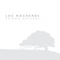 Cuando se enferma el amor Estado natural de Los Nocheros