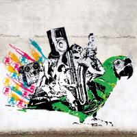 Anónimos Soundamerica de Los Pericos