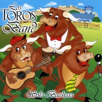Canción 'Déjame participar en tu juego' del disco 'Solo Bachata' interpretada por Los Toros Band Canción 'Déjame participar en tu juego' del disco 'Solo Bachata' interpretada por Los Toros Band