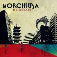 EVERYBODY LOVES A LOOSER, letra y canción de Morcheeba. Disco: The Antidote EVERYBODY LOVES A LOOSER letra MORCHEEBA