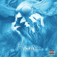 BEAUTIFUL AND STRANGE, letra y canción de Mudvayne. Disco: Mudvayne BEAUTIFUL AND STRANGE letra MUDVAYNE