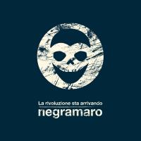 Lo Sai Da Qui La rivoluzione sta arrivando de Negramaro