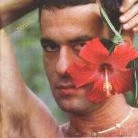 'Sangue Latino' de Ney MatogrosSo. Disco: ...Pois é Sangue Latino - Ney MatogrosSo