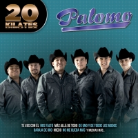'Miedo' de Palomo. Disco: 20 kilates Miedo - Palomo