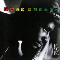'Roots, Rock, Reggae' de Pato Banton. Disco: Visions of the World Roots, Rock, Reggae - Pato Banton