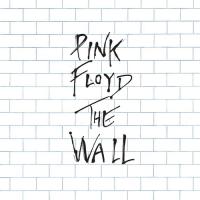 Comfortably Numb The Wall de Pink Floyd
