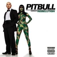 Daddy S Little Girl Rebelution de Pitbull