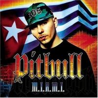 We Don't Care Bout Ya M.I.A.M.I. de Pitbull