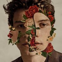 Canción 'Fallin’ All In You' del disco 'Shawn Mendes' interpretada por Shawn Mendes Canción 'Fallin’ All In You' del disco 'Shawn Mendes' interpretada por Shawn Mendes