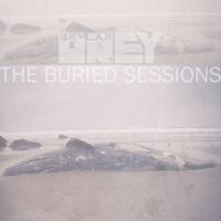Words The Buried Sessions of Skylar Grey de Skylar Grey