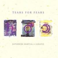 Canción 'Deja Vu & The Sins Of Science' del disco 'Saturnine Martial & Lunatic' interpretada por Tears For Fears Canción 'Deja Vu & The Sins Of Science' del disco 'Saturnine Martial & Lunatic' interpretada por Tears For Fears