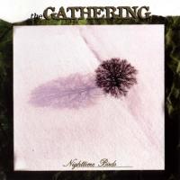 On Most Surfaces (inuit) Nighttime Birds de The Gathering