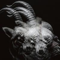LAST HEAVEN, letra y canción de The Gazette. Disco: BEAUTIFUL DEFORMITY LAST HEAVEN letra THE GAZETTE