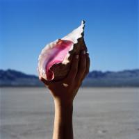 'Some Kind Of Love' de The Killers. Disco: Wonderful Wonderful Letra Some Kind Of Love The Killers