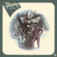 PAPA WAS A ROLLING STONE, letra y canción de The Temptations. Disco: All Directions PAPA WAS A ROLLING STONE letra THE TEMPTATIONS