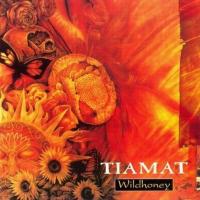 Canción 'A Pocket Size Sun' del disco 'Wildhoney' interpretada por Tiamat Canción 'A Pocket Size Sun' del disco 'Wildhoney' interpretada por Tiamat