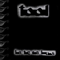Reflection Lateralus de Tool