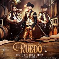 Te Regalo Andamos En El Ruedo de Ulices Chaidez