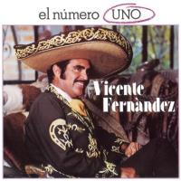 ESPERABAS QUE TE MALDIJERA, letra y canción de Vicente Fernández. Disco: El número uno ESPERABAS QUE TE MALDIJERA letra VICENTE FERNÁNDEZ