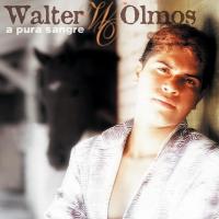 'Por Lo Que Yo Te Quiero' de Walter Olmos. Disco: A Pura Sangre Letra Por Lo Que Yo Te Quiero Walter Olmos