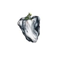 Canción 'Bananas And Blow' del disco 'White Pepper' interpretada por Ween Canción 'Bananas And Blow' del disco 'White Pepper' interpretada por Ween
