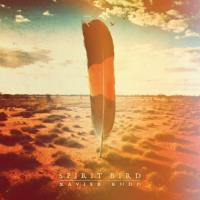 Follow The Sun Spirit Bird de Xavier Rudd