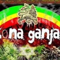 'Mi flow' de Zona Ganjah. Disco: Con ayuda del error Mi flow - Zona Ganjah