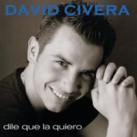 Canción 'Caminar por la vida' del disco 'Dile que la quiero' interpretada por David Civera Canción 'Caminar por la vida' del disco 'Dile que la quiero' interpretada por David Civera