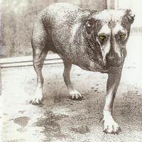 Canción 'Frogs' del disco 'Alice in Chains' interpretada por Alice In Chains Canción 'Frogs' del disco 'Alice in Chains' interpretada por Alice In Chains