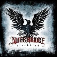 Blackbird Blackbird de Alter Bridge