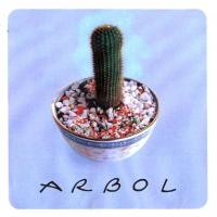 X Árbol de Arbol