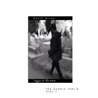 SAY HEY KID, letra y canción de Death Grips. Disco: Niggas on the Moon SAY HEY KID letra DEATH GRIPS