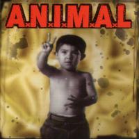 CAMUFLAJE, letra y canción de Animal. Disco: Poder latino CAMUFLAJE letra ANIMAL