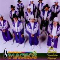 Canción 'Mi Luna, Mi Estrella' del disco 'Los Machos Tambien Lloran' interpretada por Banda Machos Canción 'Mi Luna, Mi Estrella' del disco 'Los Machos Tambien Lloran' interpretada por Banda Machos