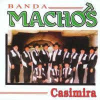 Canción 'La Culebra' del disco 'Casimira' interpretada por Banda Machos Canción 'La Culebra' del disco 'Casimira' interpretada por Banda Machos