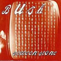 Glycerine Sixteen Stone de Bush
