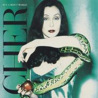 IT'S A MAN'S MAN'S MAN'S WORLD, letra y canción de Cher. Disco: It's a Man's World IT'S A MAN'S MAN'S MAN'S WORLD letra CHER