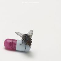 Canción 'Annie Wants a Baby' del disco 'I'm With You' interpretada por Red Hot Chili Peppers Canción 'Annie Wants a Baby' del disco 'I'm With You' interpretada por Red Hot Chili Peppers