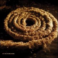 Eraser Recoiled de Nine Inch Nails