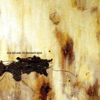 A Warm Place The Downward Spiral de Nine Inch Nails