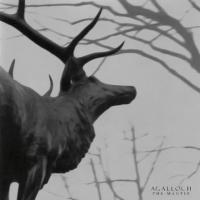 IN THE SHADOW OF OUR PALE COMPANION, letra y canción de Agalloch. Disco: The Mantle IN THE SHADOW OF OUR PALE COMPANION letra AGALLOCH