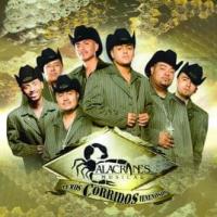 Canción 'Agustín Jaime' del disco 'Puros corridos venenosos' interpretada por Alacranes Musical Canción 'Agustín Jaime' del disco 'Puros corridos venenosos' interpretada por Alacranes Musical