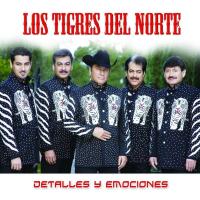 El muro Detalles y emociones de Los Tigres Del Norte