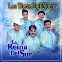 'La reina del sur' de Los Tigres Del Norte. Disco: La Reina Del Sur La reina del sur - Los Tigres Del Norte