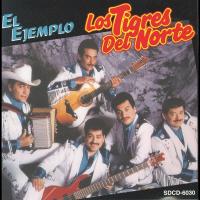 Golpes En El Corazón El Ejemplo de Los Tigres Del Norte