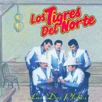 La mesa del rincón Los dos plebes de Los Tigres Del Norte