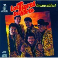 Compañera Incansables de Los Tigres Del Norte