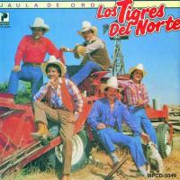 'Albácar china' de Los Tigres Del Norte. Disco: Jaula de oro Albácar china - Los Tigres Del Norte