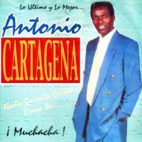 Necesito un amor ¡Muchacha! de Antonio Cartagena